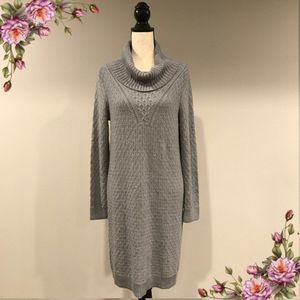 Banana Republic cowl sweater dress